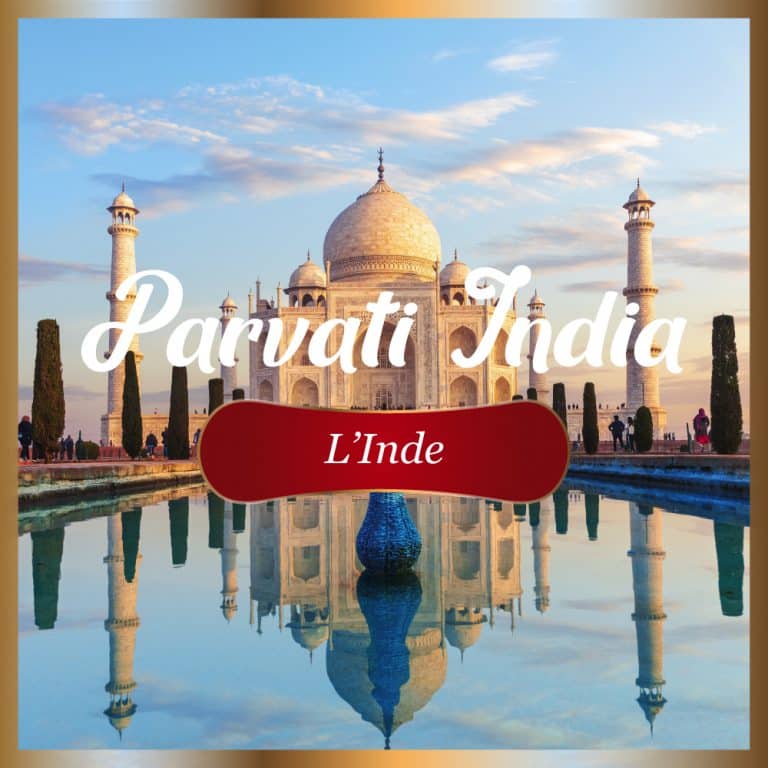 8. L’économie indienne